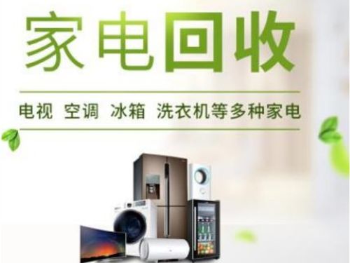家用電器企業商情 洞察市場動態與把握未來趨勢